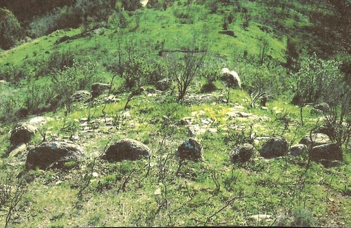 Dolceacqua: nuova impronta della cultura Megalitica rappresentata da un cromlehc e un menhir in località Cima Mai Mona