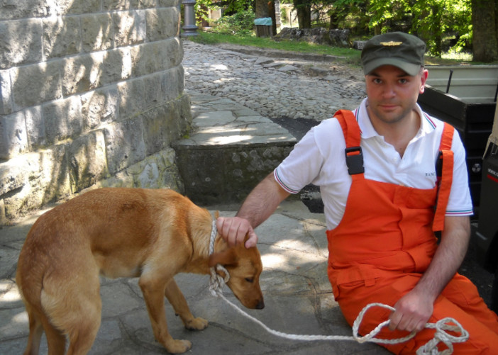Cani ritrovati dai Rangers a San Romolo: intervento del nostro lettore Fabio Cani ritrovati dai Rangers a San Romolo: intervento del nostro lettore Fabio