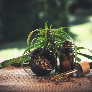 4 cose da sapere sulla cannabis light