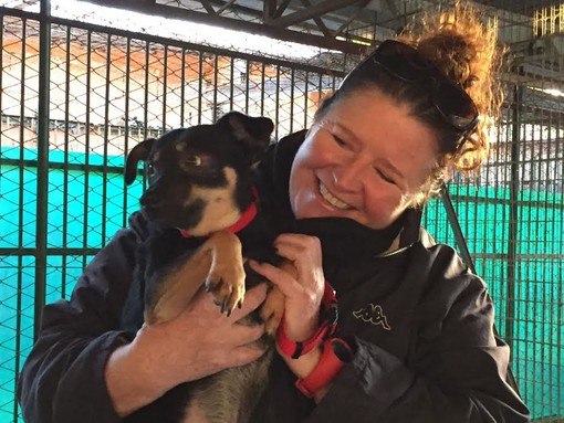 Camporosso: i cani di Giacomo Scotto tornano a Santa Croce. "Blitz" dei volontari del Comune