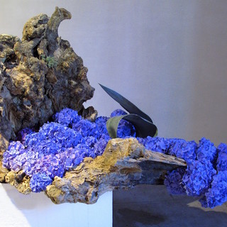 Imperia: per le Vele d'Epoca il concorso di arte floreale organizzato dall'E.D.F.A.