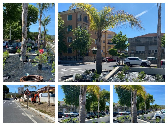 Diano Marina, prosegue il restyling dell'ex sedime ferroviario: piantati alberi e arbusti (foto)