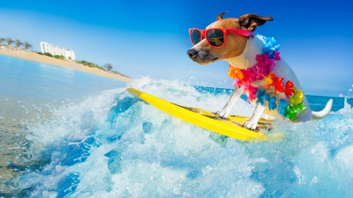 Speciale Weekend: i nostri migliori consigli su cosa fare e cosa vedere in provincia di Imperia Speciale Weekend: i nostri migliori consigli su cosa fare e cosa vedere in provincia di Imperia