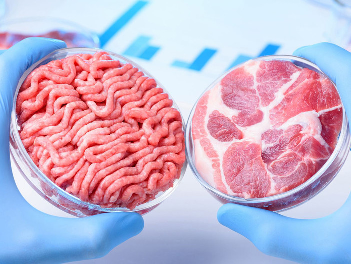 Carne coltivata o cibo a base cellulare? Coldiretti: “Impariamo a chiamare le cose con il nome giusto”