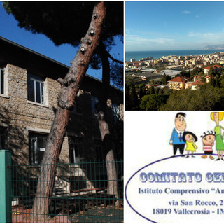 Vallecrosia: il Comitato genitori dell’Istituto A.Doria incontra l’Amministrazione per discutere di scuola e dell’ex area Tonet Vallecrosia: il Comitato genitori dell’Istituto A.Doria incontra l’Amministrazione per discutere di scuola e dell’ex area Tonet