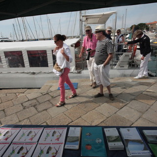 Mancata accoglienza crocieristi, nuovo intervento del CdA di Sanremo Promotion Mancata accoglienza crocieristi, nuovo intervento del CdA di Sanremo Promotion