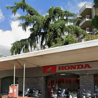 Cedro in corso Cavallotti come era prima