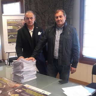 La Taggiasca DOP per salvare l'identità e il futuro della Liguria, ecco la scelta del Comitato Promotore della Taggiasca