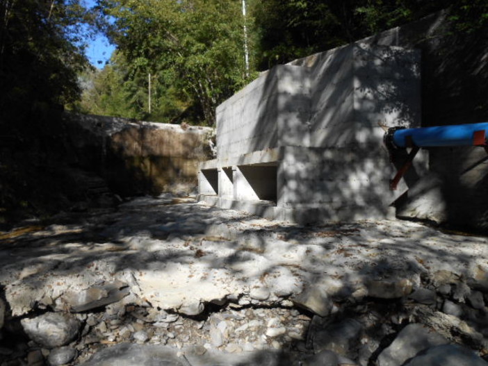 Pigna: questa sera (ore 20) in Comune incontro per parlare della centrale idroelettrica sul 'Rio Carne'