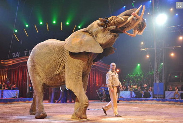 (Immagine generica) (Immagine generica)