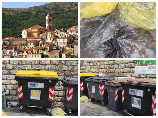 Piretrabruna, titolari degli agriturismi sul piede di guerra: "Amaie Energia aumenti i giorni e gli orari per il conferimento dei rifiuti. Impossibile tenerli in casa, è antigienico" Piretrabruna, titolari degli agriturismi sul piede di guerra: "Amaie Energia aumenti i giorni e gli orari per il conferimento dei rifiuti. Impossibile tenerli in casa, è antigienico"