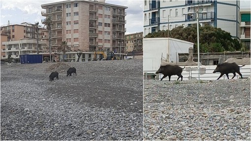 Foto di P. G. da 'Sei di Vallecrosia se...'