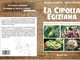 Marco Damele propone la scoperta della Cipolla Egiziana con un format nuovo e originale, che abbina allo show cooking la degustazione.