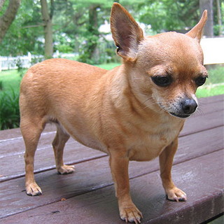 Foto generica Foto generica