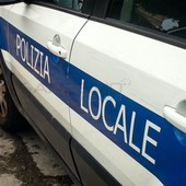 Sanremo, sono 460 gli animali sequestrati nella villa: proseguono le operazioni dopo il blitz