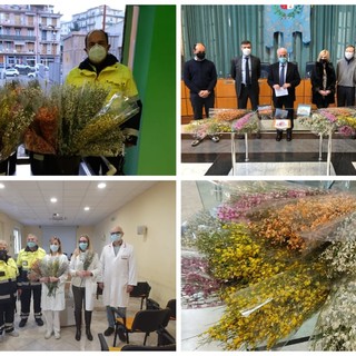 Coronavirus, 'Imperia rinasce con un fiore': sinergia tra enti e Istituzioni per omaggiare l'impegno dei sanitari (Foto e video) Coronavirus, 'Imperia rinasce con un fiore': sinergia tra enti e Istituzioni per omaggiare l'impegno dei sanitari (Foto e video)