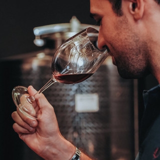 Sanremo e Imperia: inizia il corso di primo livello per diventare Sommelier Sanremo e Imperia: inizia il corso di primo livello per diventare Sommelier