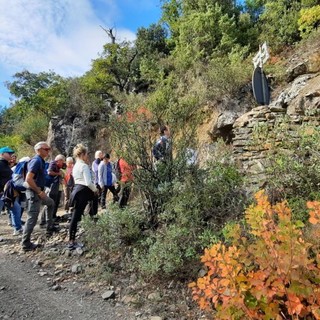 Bajardo: domenica prossima, appuntamento con la 'Giornata nazionale della Camminata tra gli Olivi' Bajardo: domenica prossima, appuntamento con la 'Giornata nazionale della Camminata tra gli Olivi'