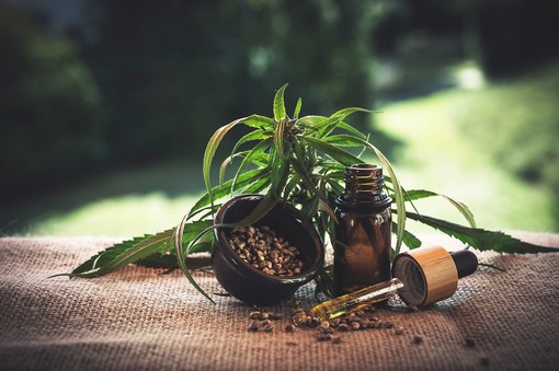 4 cose da sapere sulla cannabis light