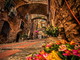 Caruggi in Fiore a Dolceacqua