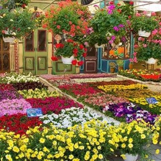 Arriva la quinta edizione di “Savona in Fiore”: una vera opportunità per i professionisti del settore