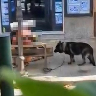 Sanremo, l'allarme dei residenti: “Cane legato alla catena e strattonato”. Polizia locale monitora la situazione