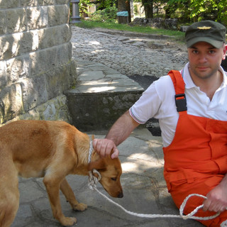 Cani ritrovati dai Rangers a San Romolo: intervento del nostro lettore Fabio