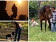 A Triora, dal 7 al 21 marzo, tre seminari su falconeria, cinofilia ed equitazione A Triora, dal 7 al 21 marzo, tre seminari su falconeria, cinofilia ed equitazione