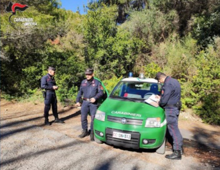 San Biagio della Cima, definitiva la condanna a 18 mesi di carcere per un 64enne autore di quattro incendi boschivi