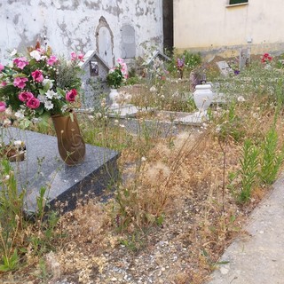 Progetto Imperia interroga la maggioranza sui cimiteri "Chiediamo se e quando verrà effettuata la manutenzione"