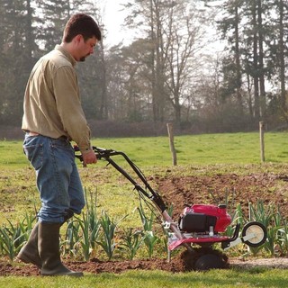 Coltivare un orto su un terreno difficile: come affrontare pendenze, spazi stretti e lavorazioni stagionali