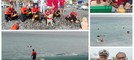 Sicurezza in mare, soccorso acquatico e manovre di rianimazione: a Bordighera dimostrazioni con i cani da salvataggio (Foto e video)