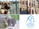 Imperia, la sezione provinciale della 'Lega nazionale per la difesa del cane' vince l'appalto per accudire i randagi: per due anni il servizio ammonta a 77 mila euro Imperia, la sezione provinciale della 'Lega nazionale per la difesa del cane' vince l'appalto per accudire i randagi: per due anni il servizio ammonta a 77 mila euro