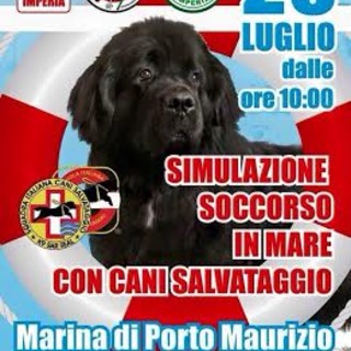 Imperia: domenica nello specchio acqueo dei "Bagni Oneglio" la simulazione di soccorso in mare con i cani da salvataggio Imperia: domenica nello specchio acqueo dei "Bagni Oneglio" la simulazione di soccorso in mare con i cani da salvataggio