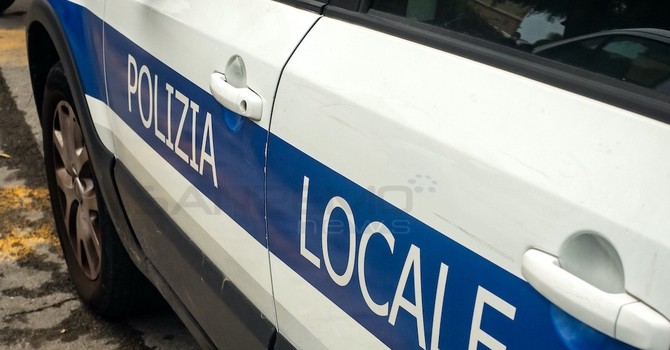 Sanremo, sono 460 gli animali sequestrati nella villa: proseguono le operazioni dopo il blitz
