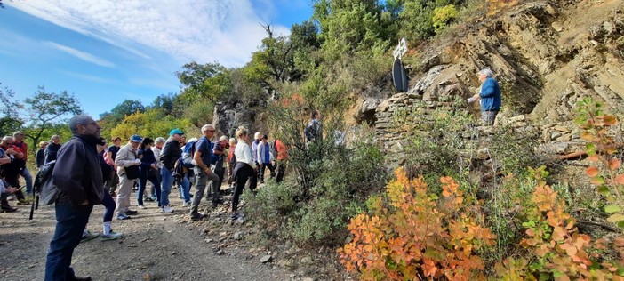 Bajardo: domenica prossima, appuntamento con la 'Giornata nazionale della Camminata tra gli Olivi' Bajardo: domenica prossima, appuntamento con la 'Giornata nazionale della Camminata tra gli Olivi'