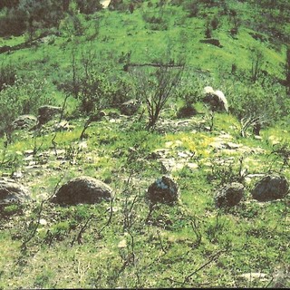 Dolceacqua: nuova impronta della cultura Megalitica rappresentata da un cromlehc e un menhir in località Cima Mai Mona