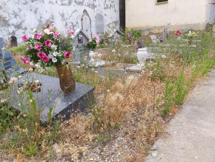 Progetto Imperia interroga la maggioranza sui cimiteri "Chiediamo se e quando verrà effettuata la manutenzione" Progetto Imperia interroga la maggioranza sui cimiteri "Chiediamo se e quando verrà effettuata la manutenzione"