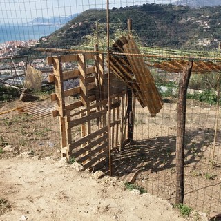 Ventimiglia: situazione difficile e rischio chiusura del canile, raccolta fondi della Lega del Cane