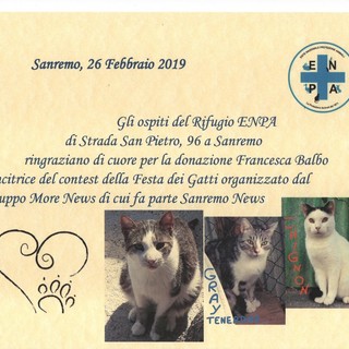 L'Enpa di Sanremo riceve il premio del gruppo Morenews dedicato ai gatti: contest vinto da Francesca Balbo