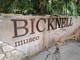Flor Riviera, a Bordighera un confronto sul verde come valore identitario e motore di sviluppo