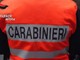 Vallecrosia: ruba 12 kg di zucchine trombette, 54enne italiano arrestato dai carabinieri