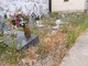 Progetto Imperia interroga la maggioranza sui cimiteri "Chiediamo se e quando verrà effettuata la manutenzione" Progetto Imperia interroga la maggioranza sui cimiteri "Chiediamo se e quando verrà effettuata la manutenzione"