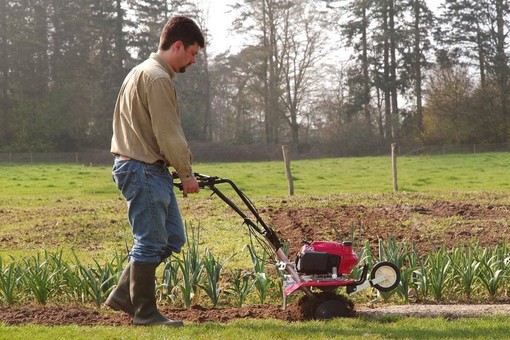 Coltivare un orto su un terreno difficile: come affrontare pendenze, spazi stretti e lavorazioni stagionali Coltivare un orto su un terreno difficile: come affrontare pendenze, spazi stretti e lavorazioni stagionali