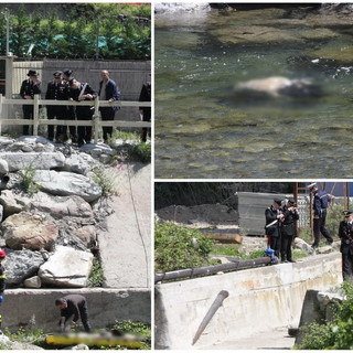 Taggia: indagini a 360 gradi per dare un'identità al cadavere trovato nel torrente Taggia: indagini a 360 gradi per dare un'identità al cadavere trovato nel torrente