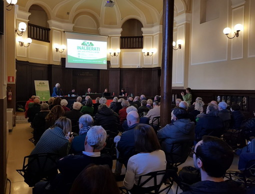 Imperia, nel convegno ‘Inalberati’ un messaggio dalla città: voglia di verde e partecipazione Imperia, nel convegno ‘Inalberati’ un messaggio dalla città: voglia di verde e partecipazione