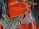 Sanremo, capriolo ferito sulla ciclabile: salvato da Ambulanze Veterinarie Odv Sanremo, capriolo ferito sulla ciclabile: salvato da Ambulanze Veterinarie Odv