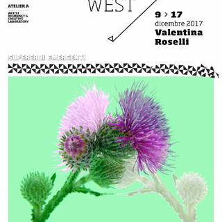 Apricale: dal 9 al 17 alla residenza artistica “Going West” l'artista torinese Valentina Roselli