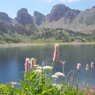 Il prossimo fine settimana, escursione nel ‘Parc National du Mercantour’ con ilTour dell’Haut Verdon Il prossimo fine settimana, escursione nel ‘Parc National du Mercantour’ con ilTour dell’Haut Verdon