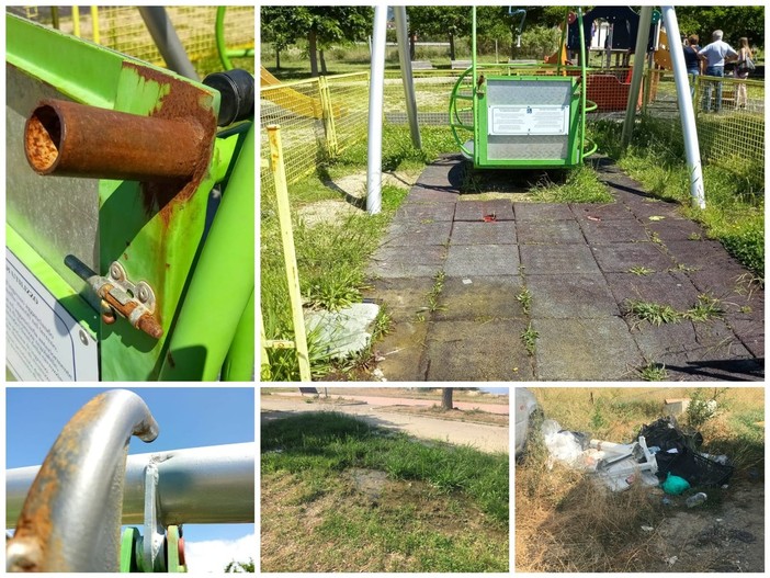 Imperia, la 'Giraffa a Rotelle': "Nessuna risposta dal Comune dopo l'atto vandalico all'altalena inclusiva del parco urbano. Rischiamo di doverla buttare" Imperia, la 'Giraffa a Rotelle': "Nessuna risposta dal Comune dopo l'atto vandalico all'altalena inclusiva del parco urbano. Rischiamo di doverla buttare"